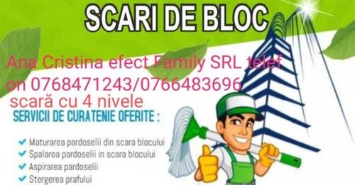 Ana Cristina Efect Family - Curatenie scari de bloc