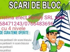 Ana Cristina Efect Family - Curatenie scari de bloc